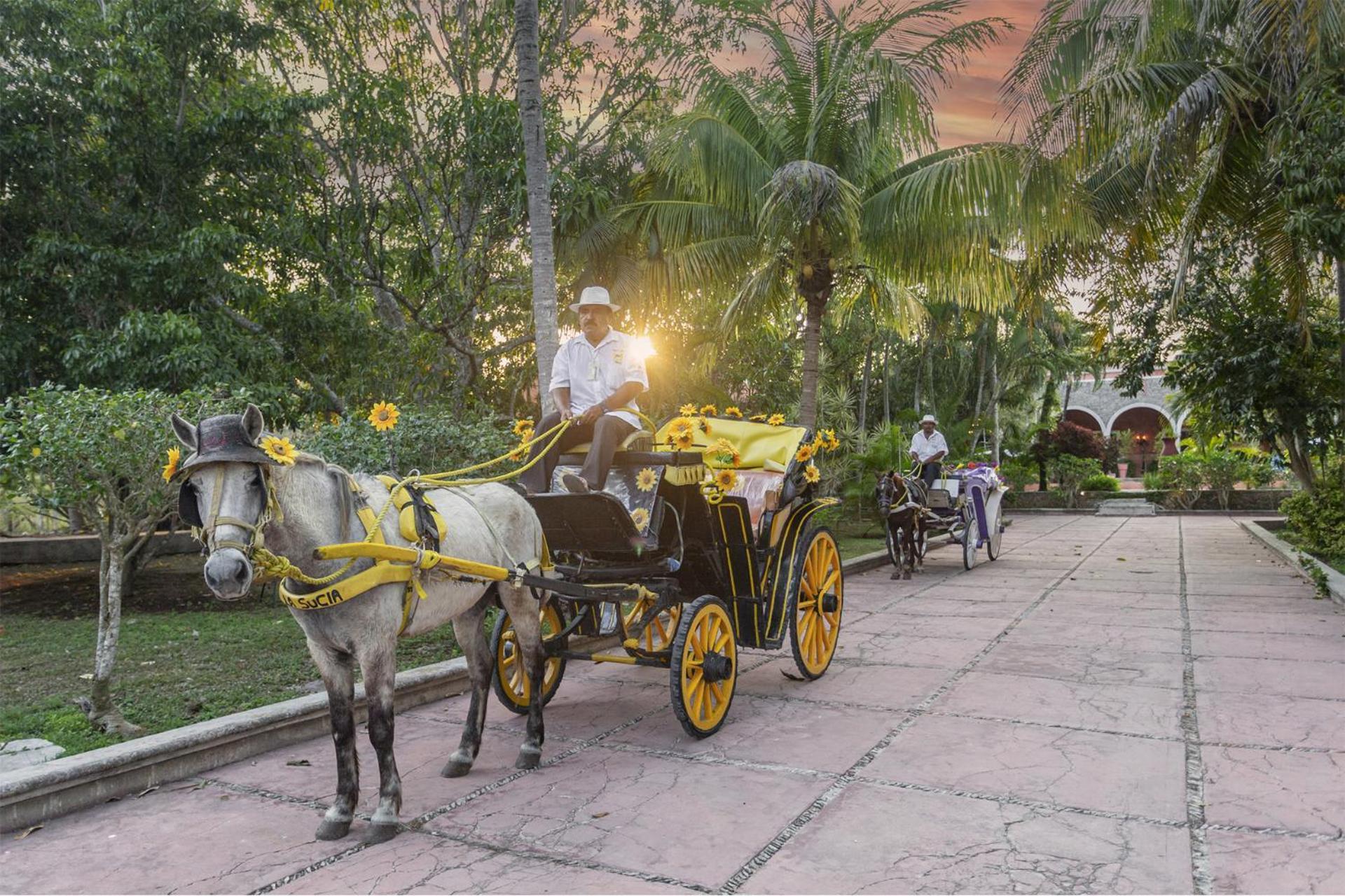 Hacienda Sacnicte Hotel Izamal Exterior photo