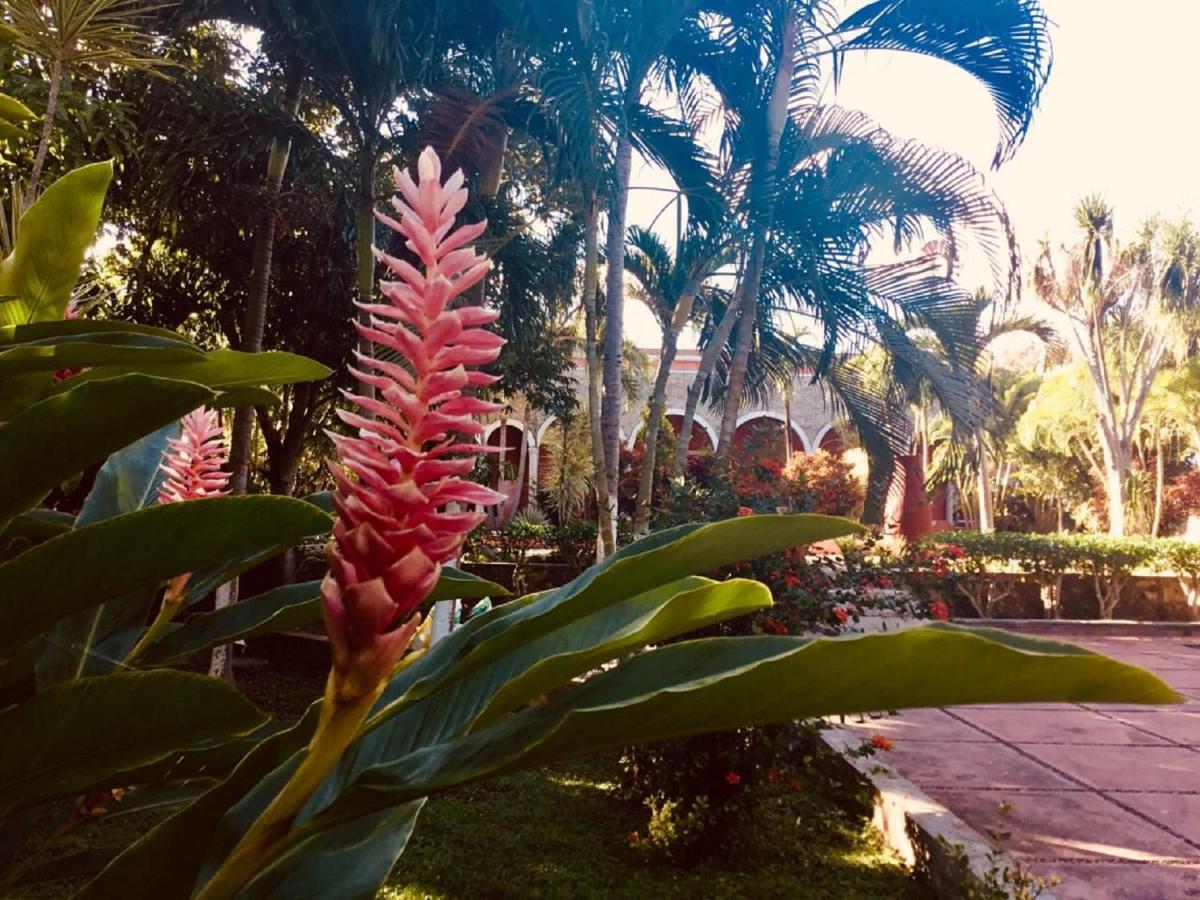 Hacienda Sacnicte Hotel Izamal Exterior photo